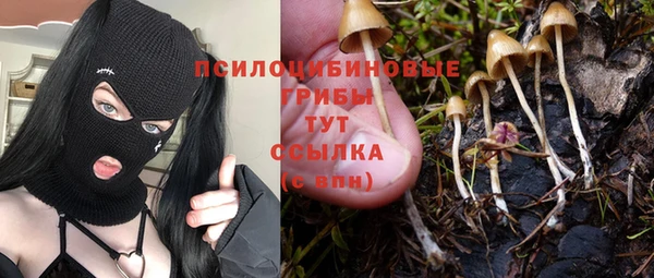 spice Балабаново