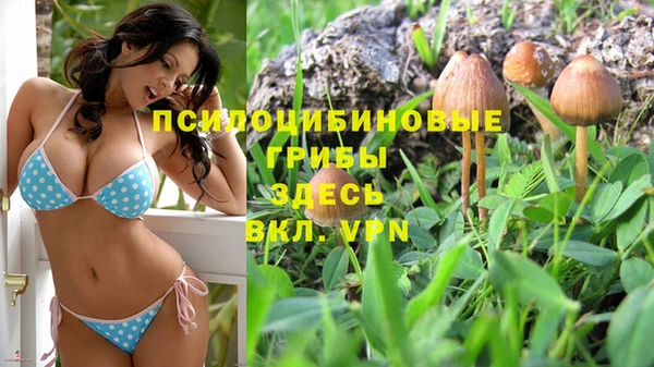 гидропоника Баксан