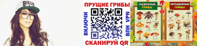 купить закладку  Козельск  Псилоцибиновые грибы Cubensis 